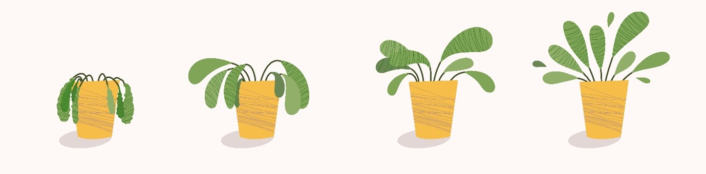 Plant Slider