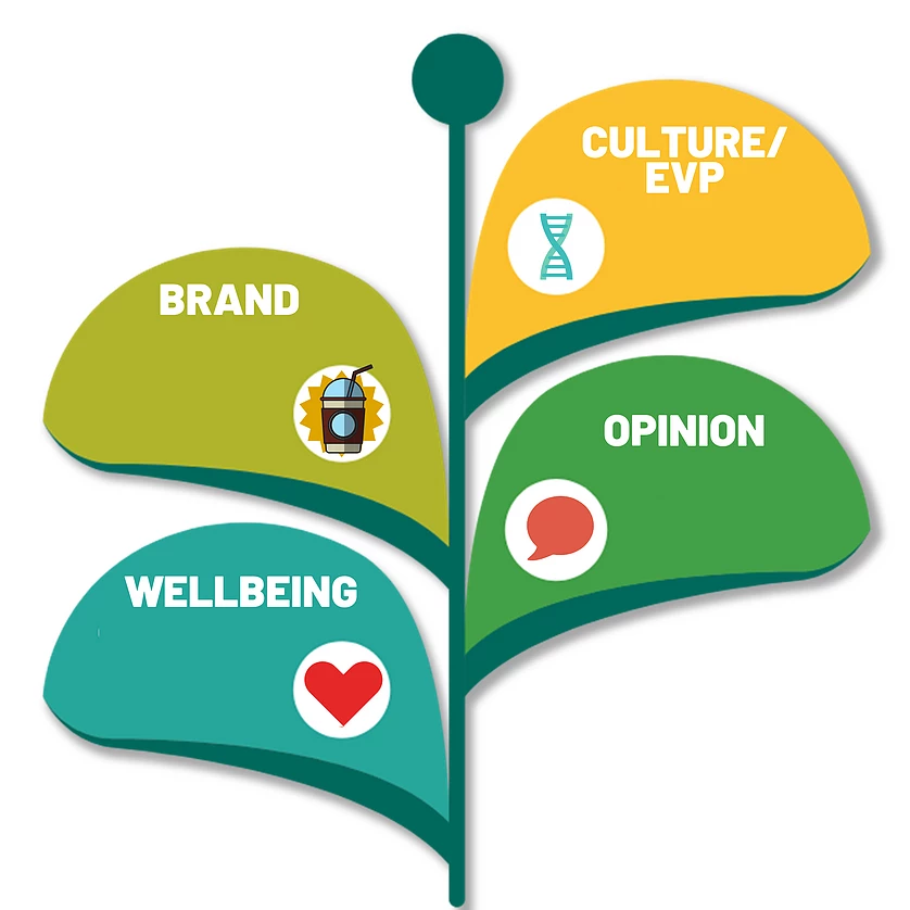 Employee feedback - culture, wellbeing, opinion, brand, evp
